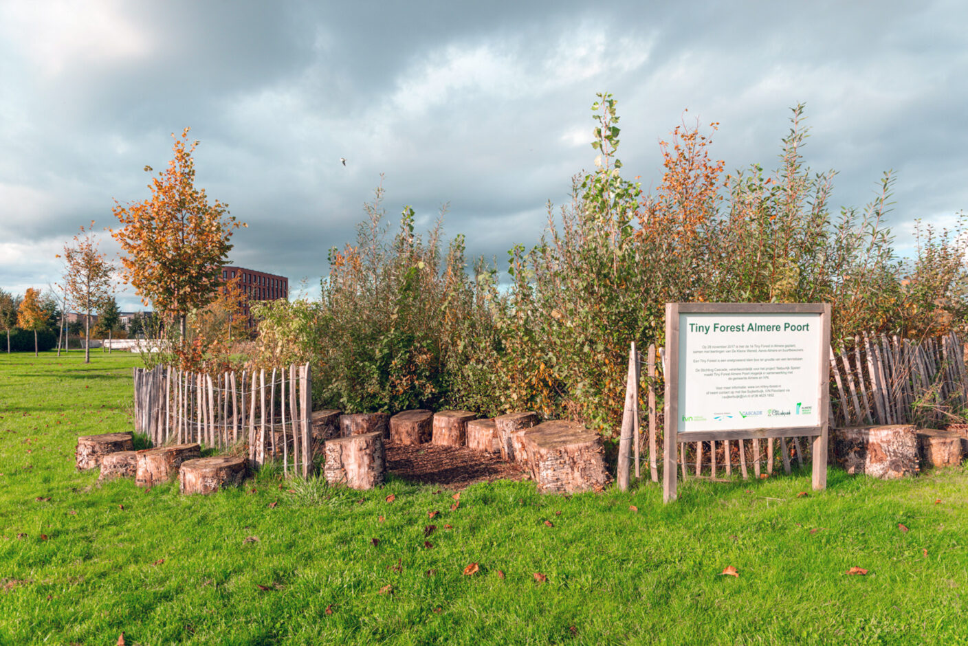 Tiny Forests Improve Biodiversity in Urban Areas - European Platform ...