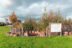 Mini forest in Almere, Netherlands to support biodiversity in urban areas and boost urban greening