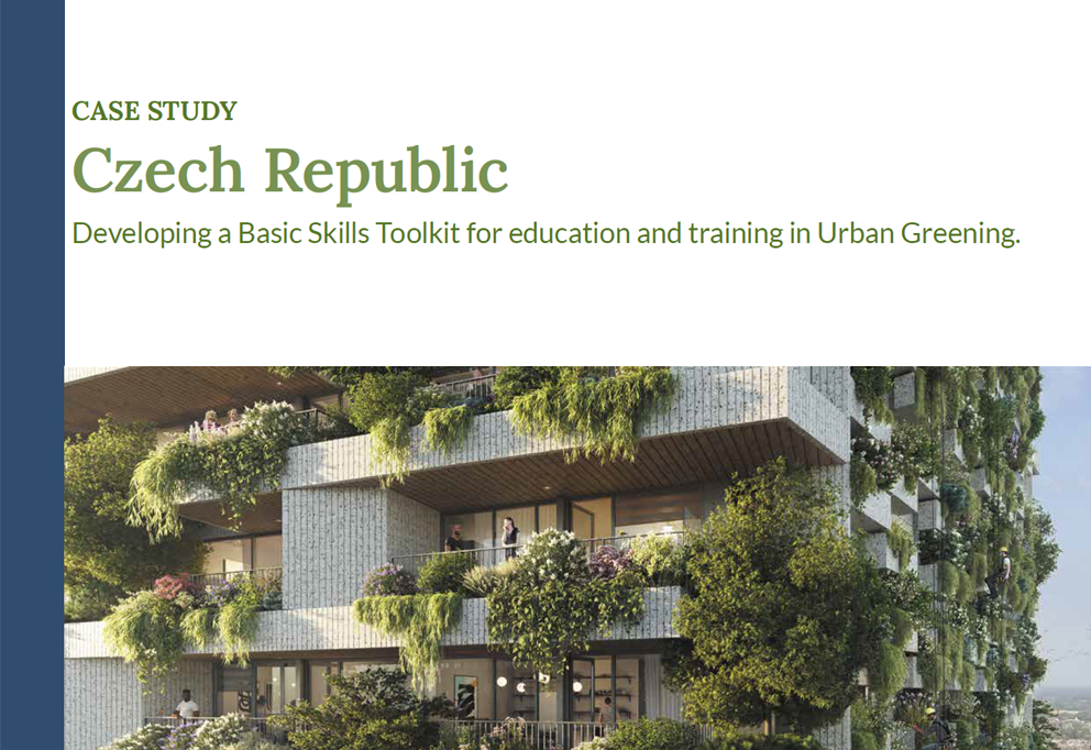 Case Study from Year One: Czech Republic