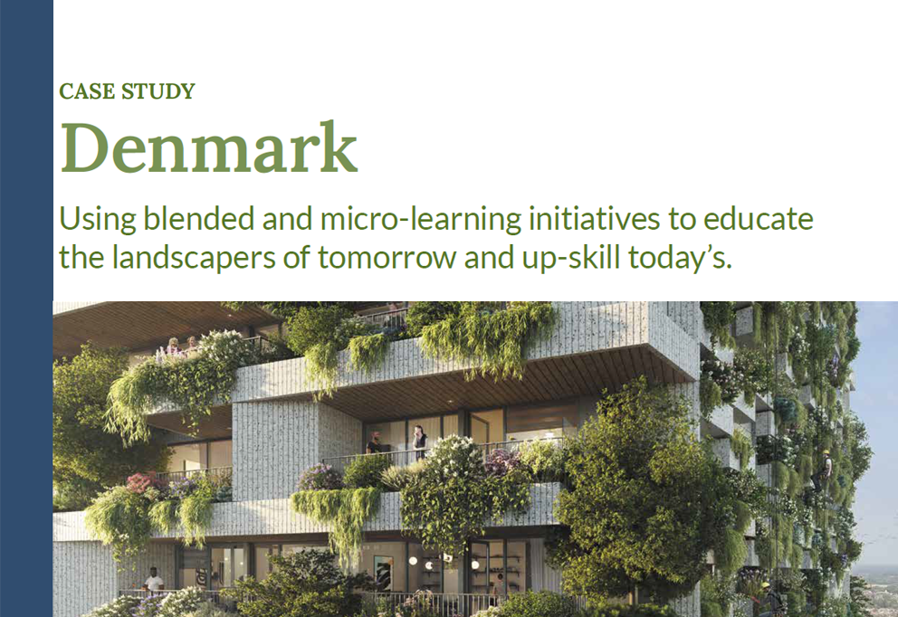 Case Study from Year One: Denmark
