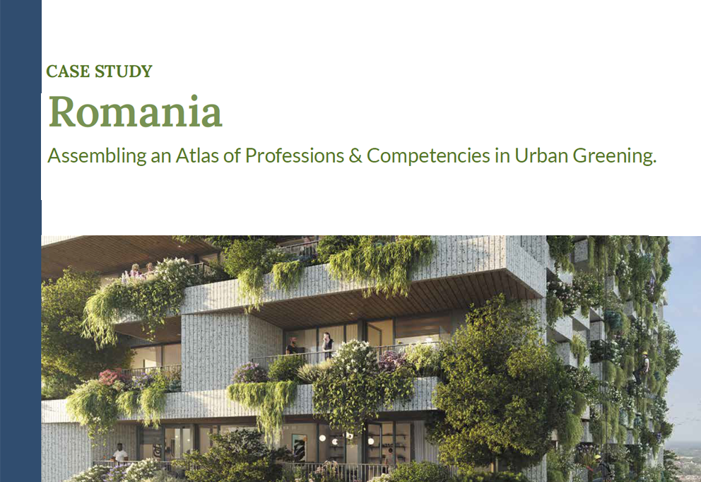 Case Study from Year One: Romania