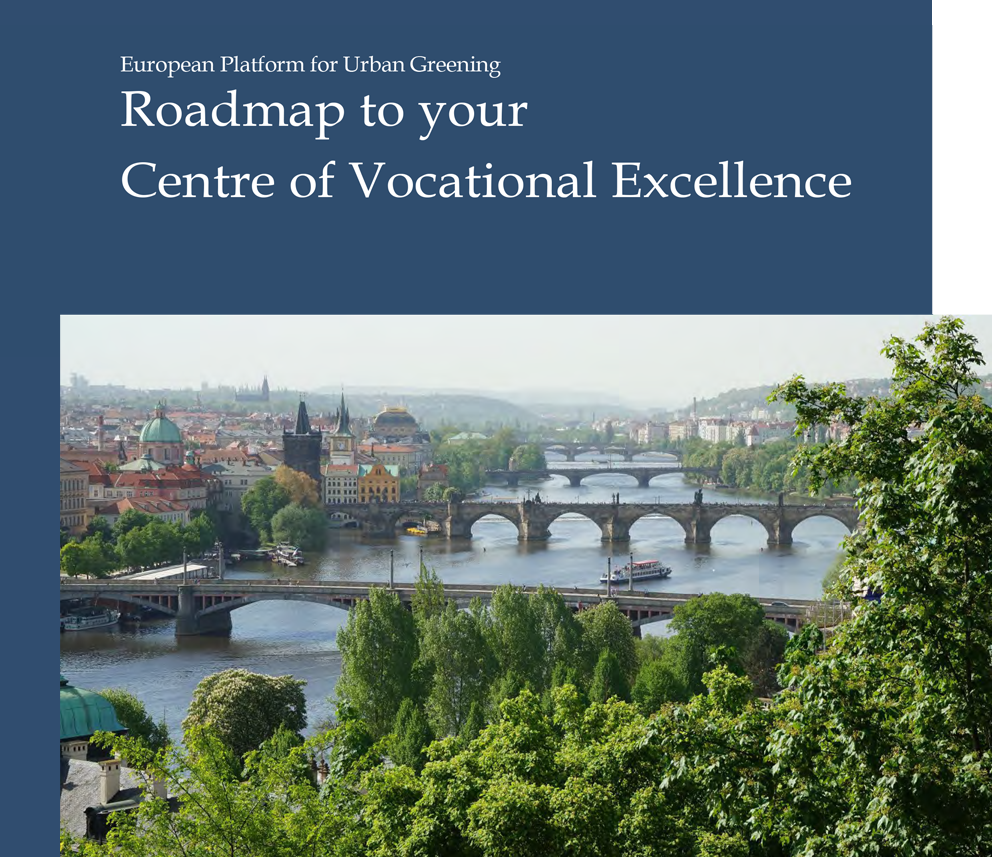 Roadmap to Your Centre of Excellence
