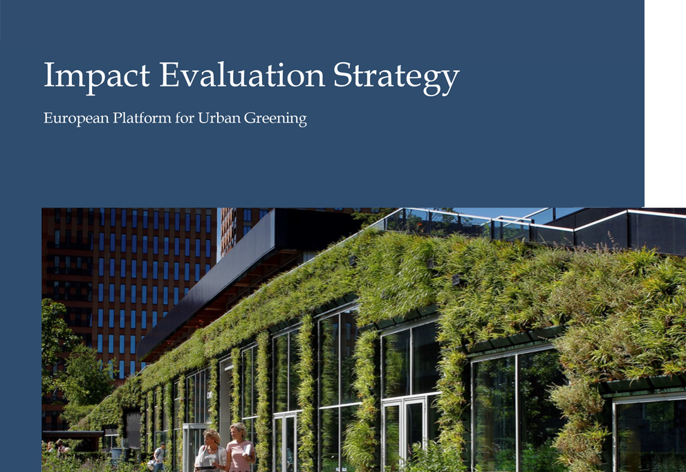 Impact Evaluation Strategy