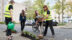 Plants Occupy Parking Lots in Dutch City of Utrecht