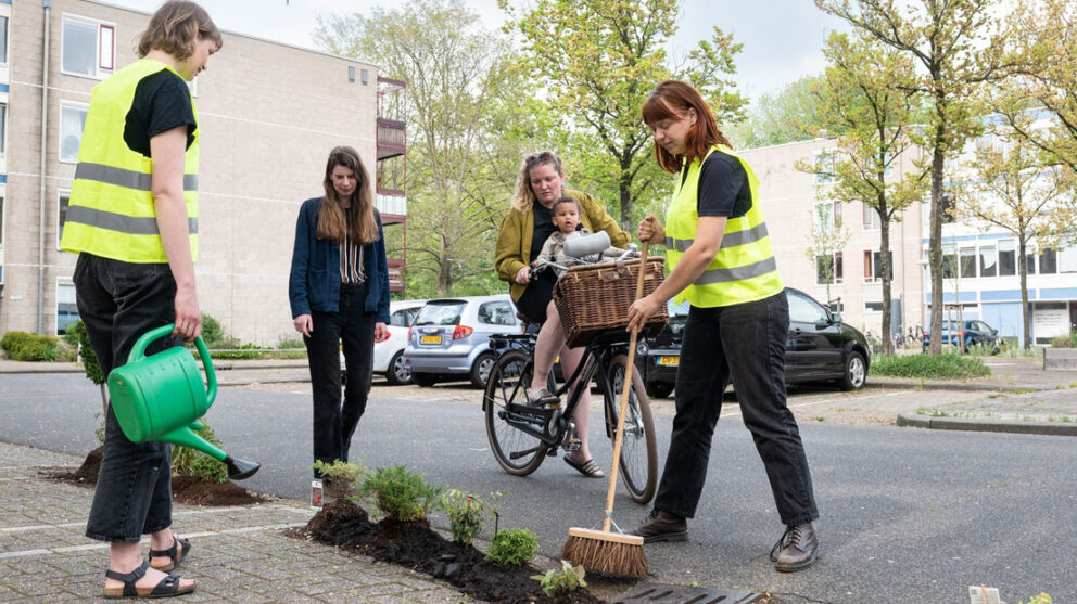 Plants Occupy Parking Lots in Dutch City of Utrecht