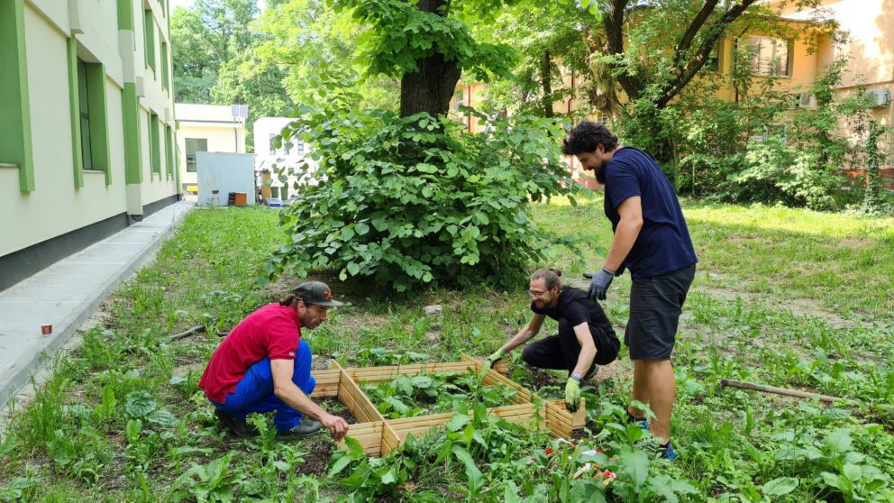 Biodiversity Is Beauty – Showcase Session From Romania