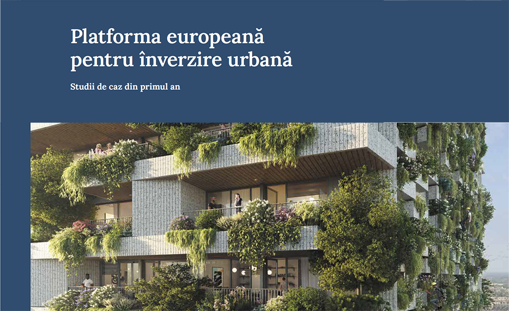 Studii de caz din primul an