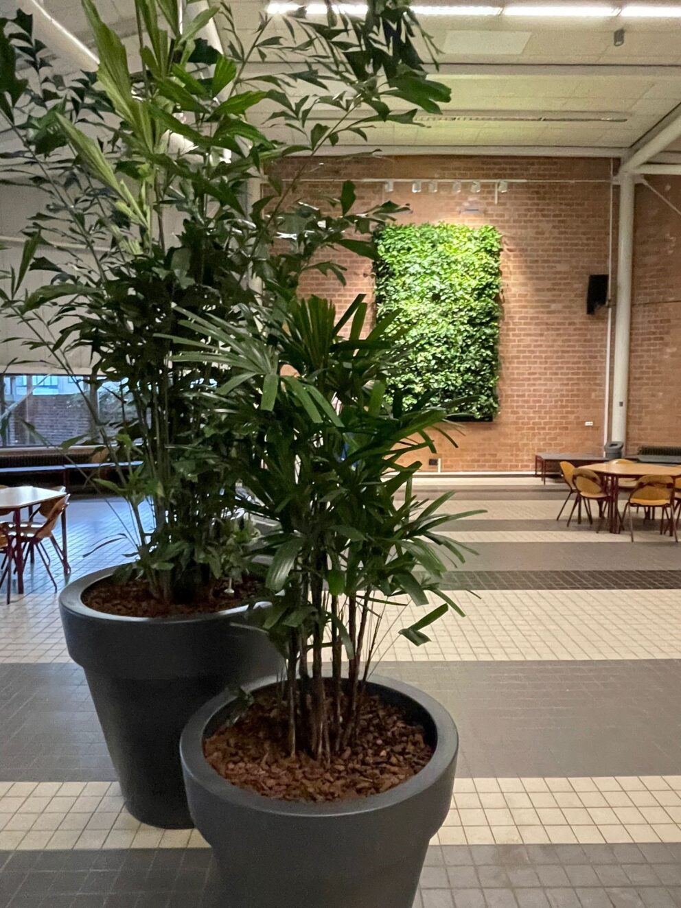 Yuverta is working on a greener indoor climate