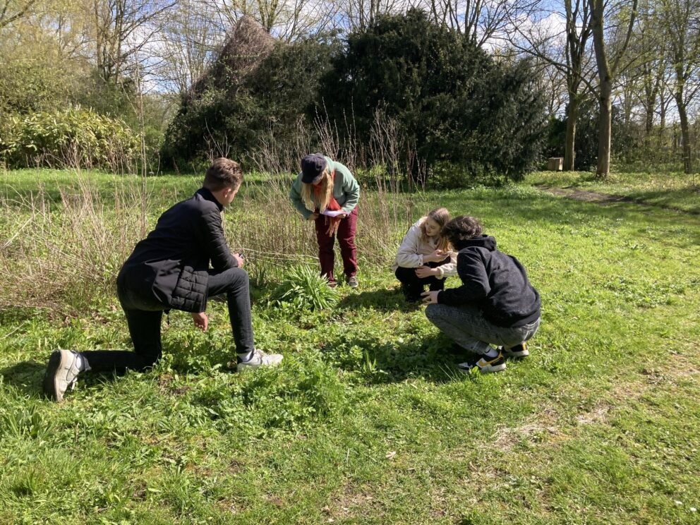 European Recognition of Diplomas