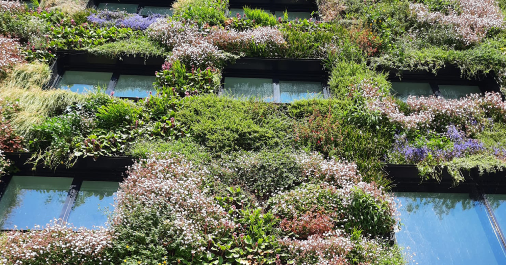 Building a Virtual Learning Environment of Vertical Green