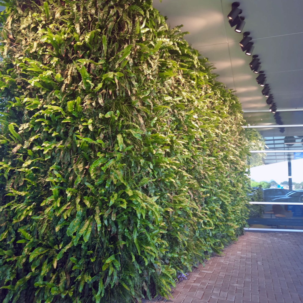 Vertical Green, Kaisa Koskelin