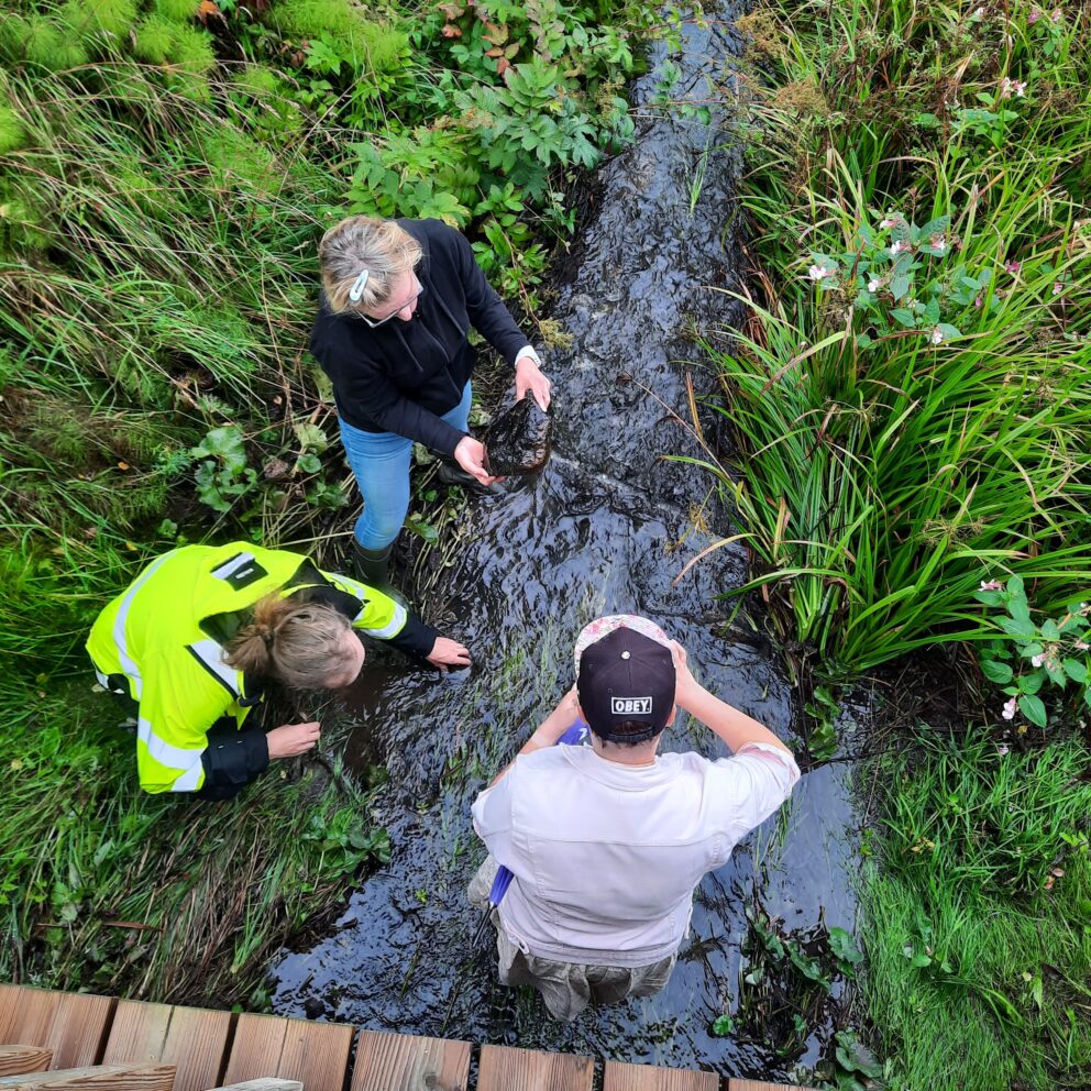 Stream Water Training in Theory and Practice