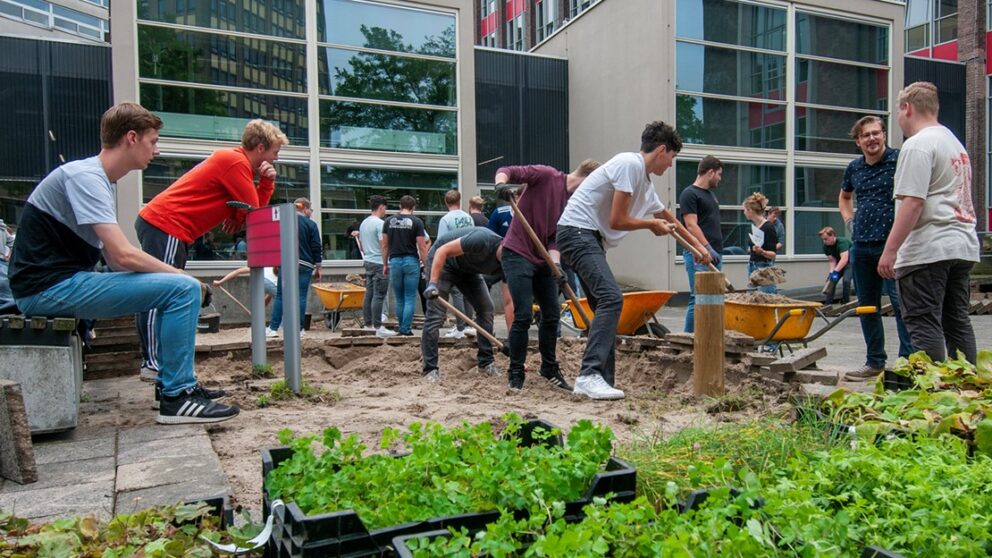 Rotterdam University Students Green Their Own Campus