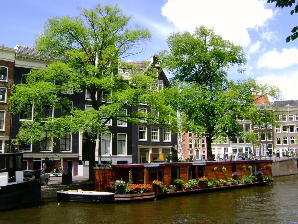 Mapping the Green in the City