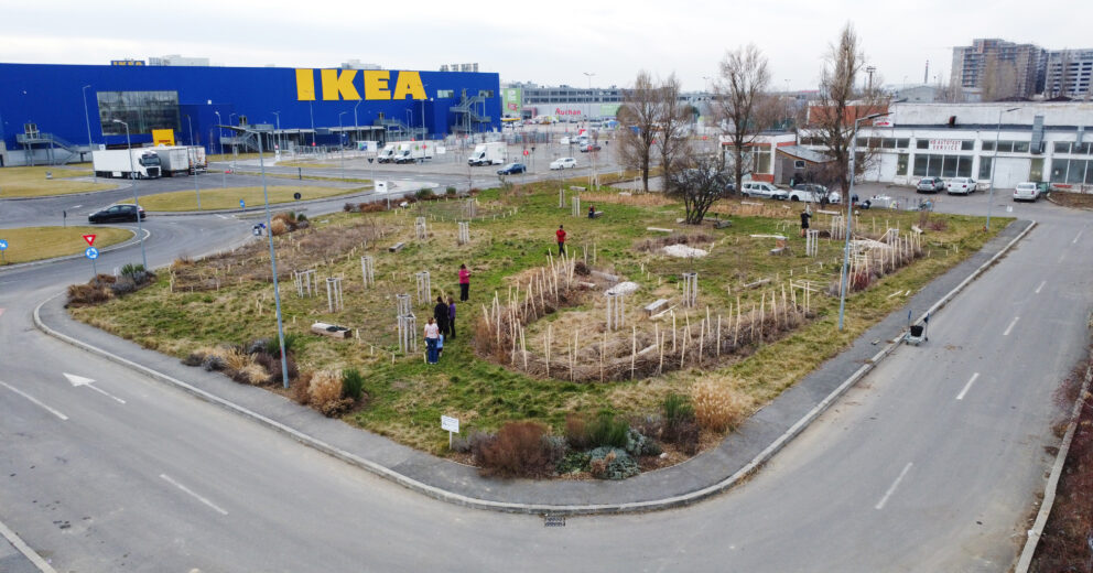 IKEA Bio Garden in Bucharest