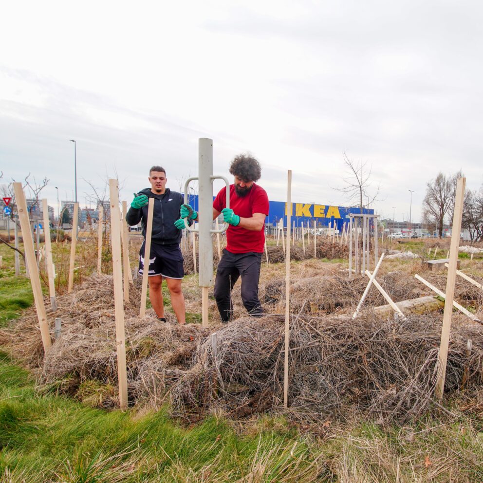 IKEA Romania Bio Garden