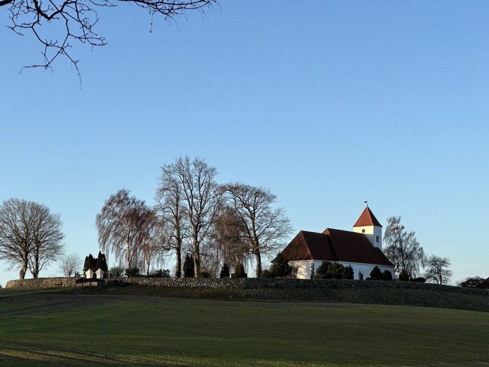 Education That Matters: Bespoke Taining Program in Denmark