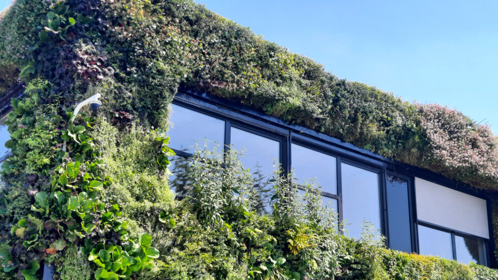 Virtual Learning Environment of Vertical Green is Ready