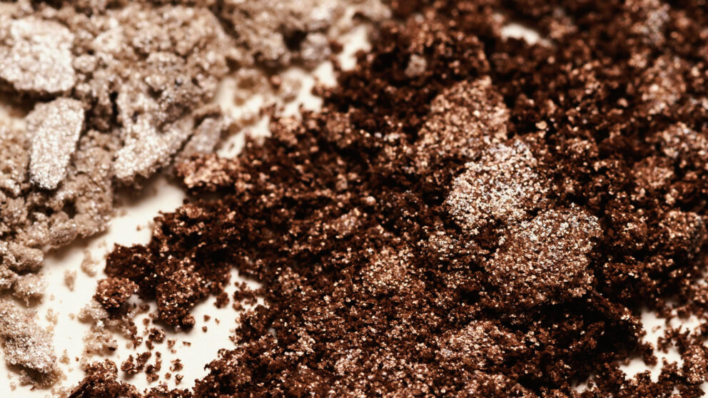 Dive Into the World of the Soil Food Web with an Online Course