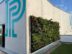 Cove Spain Showcases a New Vertical Garden at Paimed