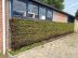 Bringing Sustainable Green Walls to Six European Countries