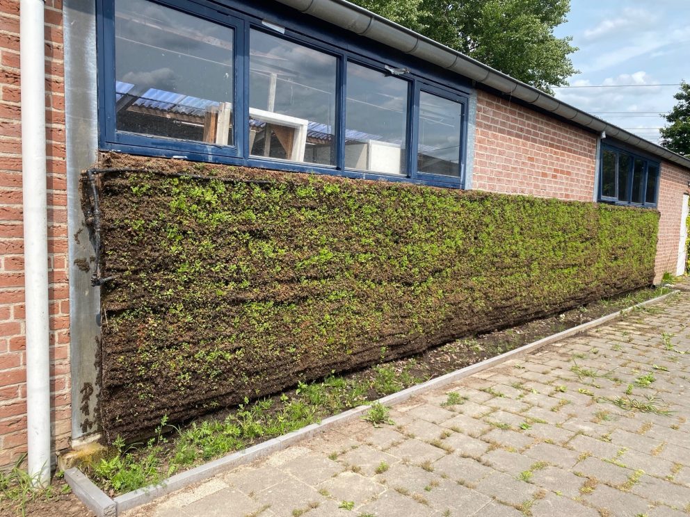Bringing Sustainable Green Walls to Six European Countries